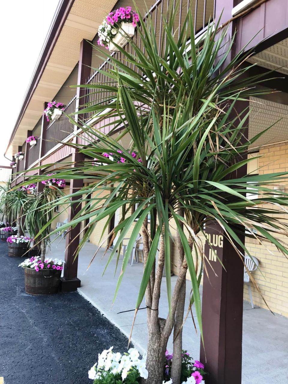 Country Inn Listowel מראה חיצוני תמונה